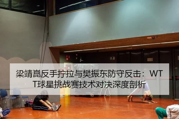 梁靖崑反手拧拉与樊振东防守反击：WTT球星挑战赛技术对决深度剖析