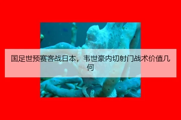 guo-zu-shi-yu-sai-ke-zhan-ri-ben-wei-shi-hao-nei-qie-she-men-zhan-shu-jia-zhi-ji-he-2-288.jpg