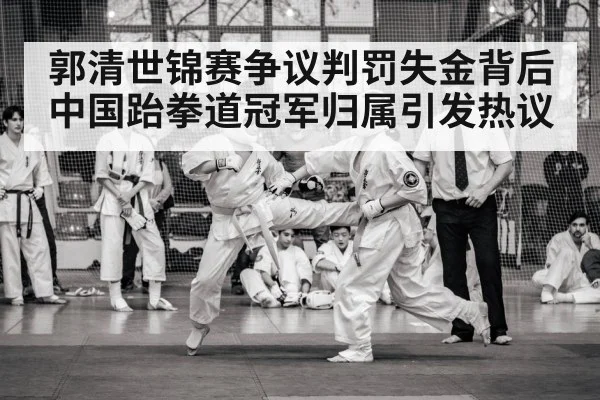 郭清世锦赛争议判罚失金背后 中国跆拳道冠军归属引发热议