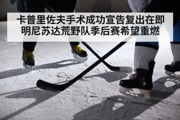 卡普里佐夫手术成功宣告复出在即 明尼苏达荒野队季后赛希望重燃